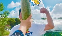 吃瓜群众网红,揭秘网络红人的幕后生活