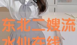 东北水仙二嫂在线观看,在线观看，感受东北风情与民间智慧