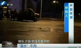 深度爆料视频,视频内容背后的惊人真相