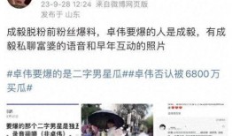 成毅爆料录音在线听视频,揭秘娱乐圈幕后真相