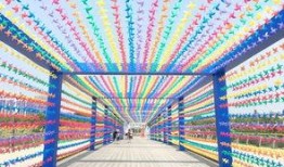 风车最新爆料,揭秘神秘项目背后的秘密与未来展望