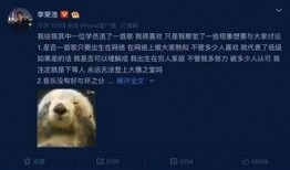 黑料专区 爆料视频如何,深度解析热门爆料视频背后的真相
