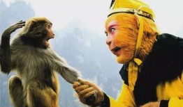 六二猕猴爆料是真的吗视频