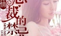 为你摘星揽月在线观看,浪漫奇幻之旅在线观看指南