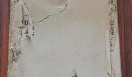 葫芦岛探店爆料视频最新,网红美食打卡地大盘点