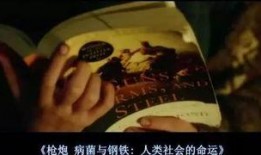 电影嬉皮士在线观看,自由灵魂的狂野岁月