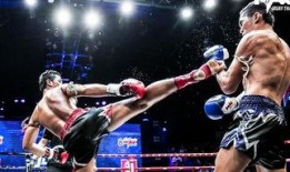 吃瓜娱乐拳击比赛直播回放,回顾精彩拳击比赛直播回放