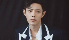 肖战最新资讯爆料,揭秘近期热点事件背后的真相