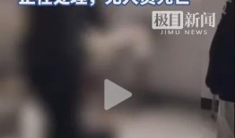鹤壁霸凌事件爆料原视频,揭开校园暴力黑暗面