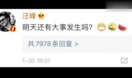 娱乐吃瓜直播号是什么意思,揭秘娱乐圈幕后故事的热门平台