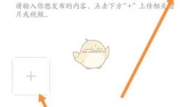 大象新闻怎么爆料,轻松掌握信息上报技巧